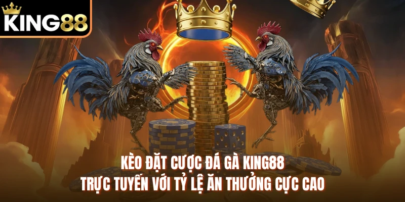 Kèo đặt cược đá gà KING88 trực tuyến với tỷ lệ ăn thưởng cực cao